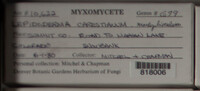 Image Associated With the Occurence